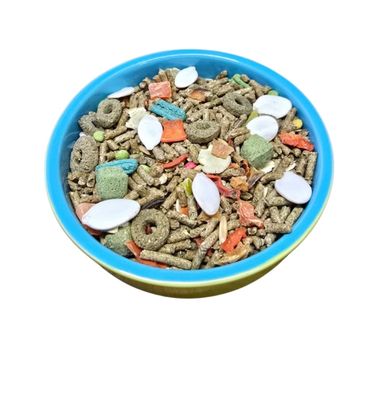 Degu Dinner