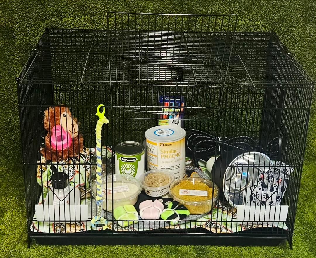 Monkey Starter Kit ? Monkey Starter Kit ?