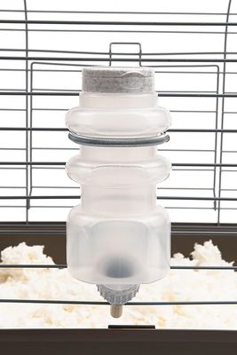 Water Bottle (Top Fill)
