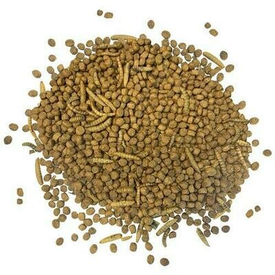 Hedgehog Chow ?