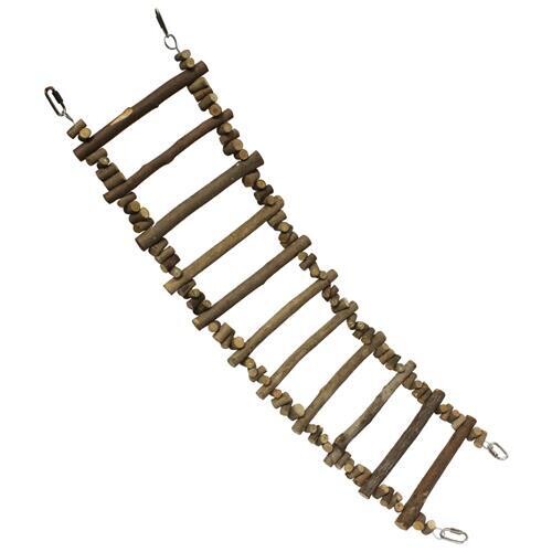 Branch Ladder Branch Ladder