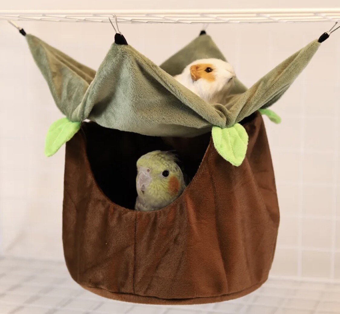 Hanging Hut