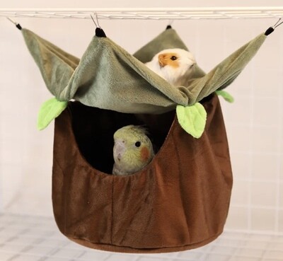 Hanging Hut