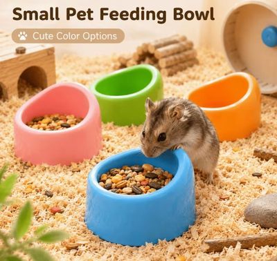 Food/ Water Bowl