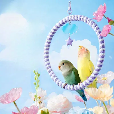 Cloud & Star Rope Swing