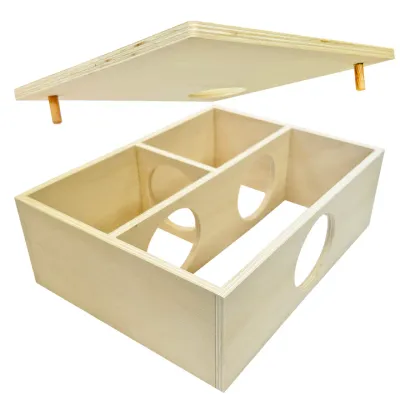 Critter Maze Box