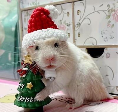 Santa Hat (Knit)