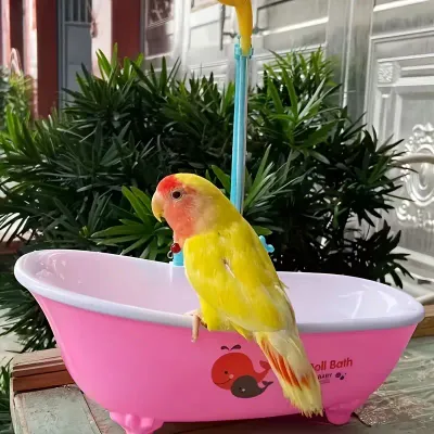 Bathtub with Shower