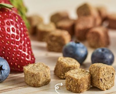 Berry Oat Bites? Berry Oat Bites?