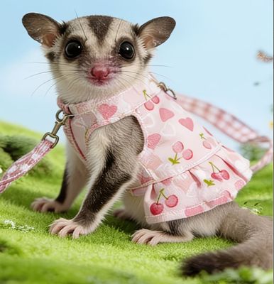 Sugar Glider Dress/Harness Leash (Flying Suit)