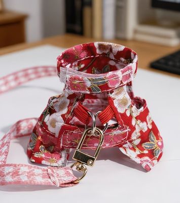 Sugar Glider Dress/Harness Leash