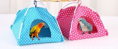 Polka Dot Tent