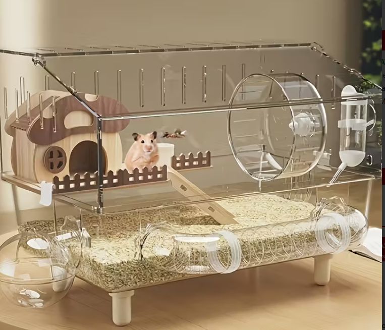 Acrylic Clear Habitat