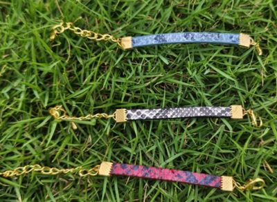 Small Pet Collar