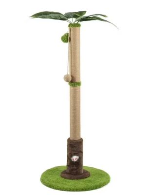 Coconut Climbing Tree