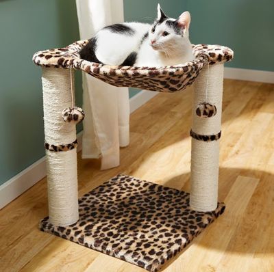 Cozy Cheetah Stand Cozy Cheetah Stand