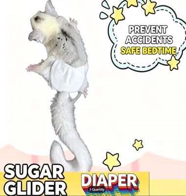 Sugar Glider Diapers