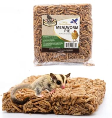 Mealworm Pies or Sunflower Seeds & Mealworm Pies Mealworm Pies or Sunflower Seeds & Mealworm Pies