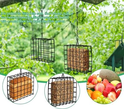 Bird & Squirrel Feeder Bird & Squirrel Feeder