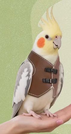 Pet Vest (Soft) Pet Vest (Soft)