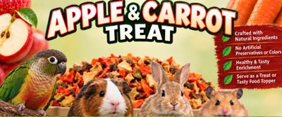 Apple & Carrot Treat?? Apple & Carrot Treat??