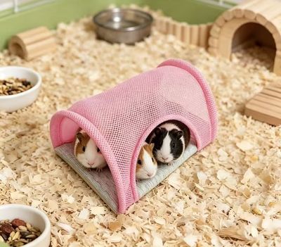 Tunnel Hideout (Pink) Tunnel Hideout (Pink)