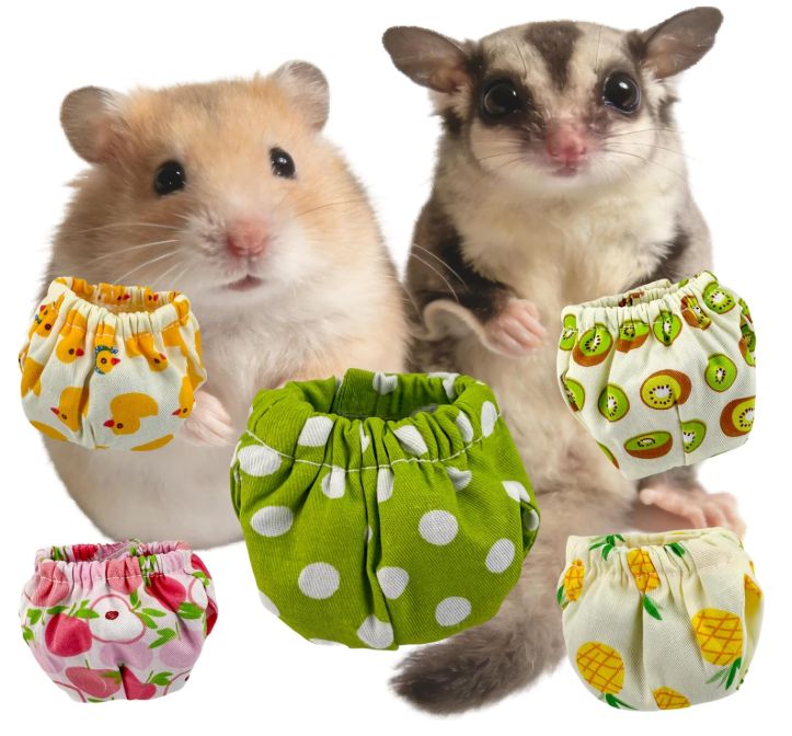 Sugar Glider Diapers
