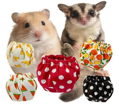 Sugar Glider Diapers