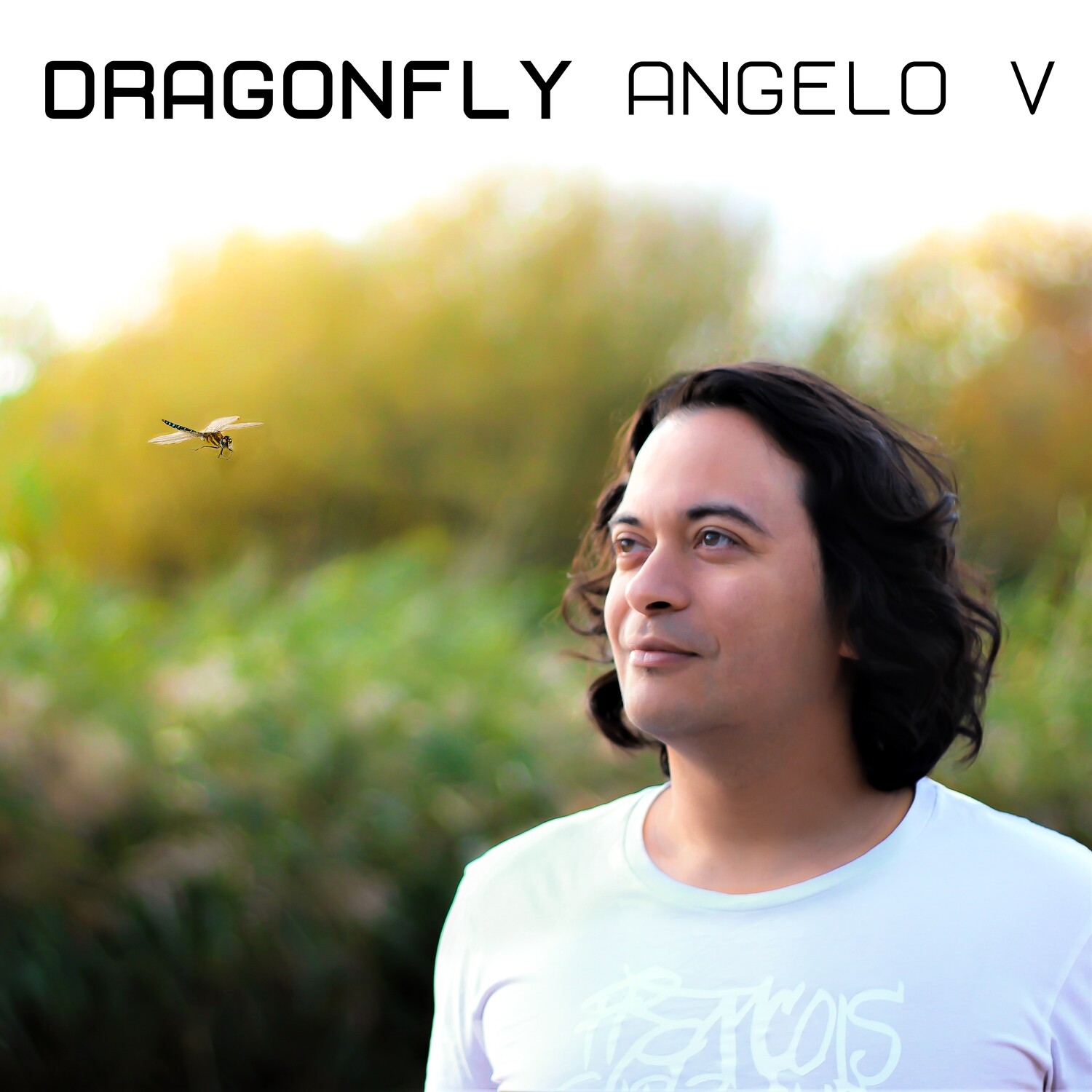 Angelo V - Dragonfly MP3