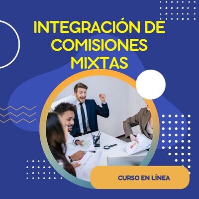 Curso: Integración de Comisiones Mixtas en las Empresas
