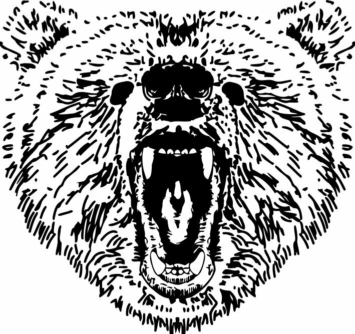 Cabeza de Oso enfadado