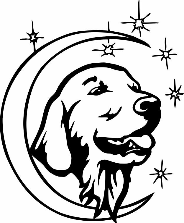 Golden Retriever en la luna