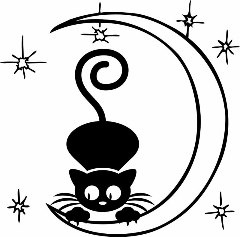 Un gato subido a la luna