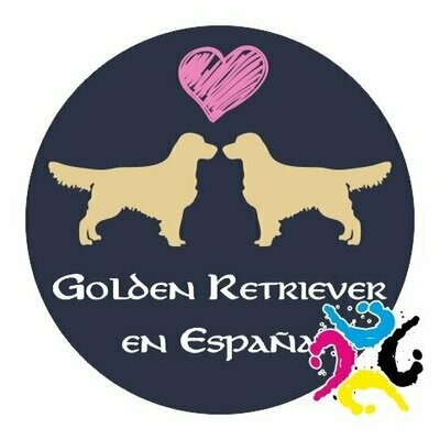 Golden Retriever España
