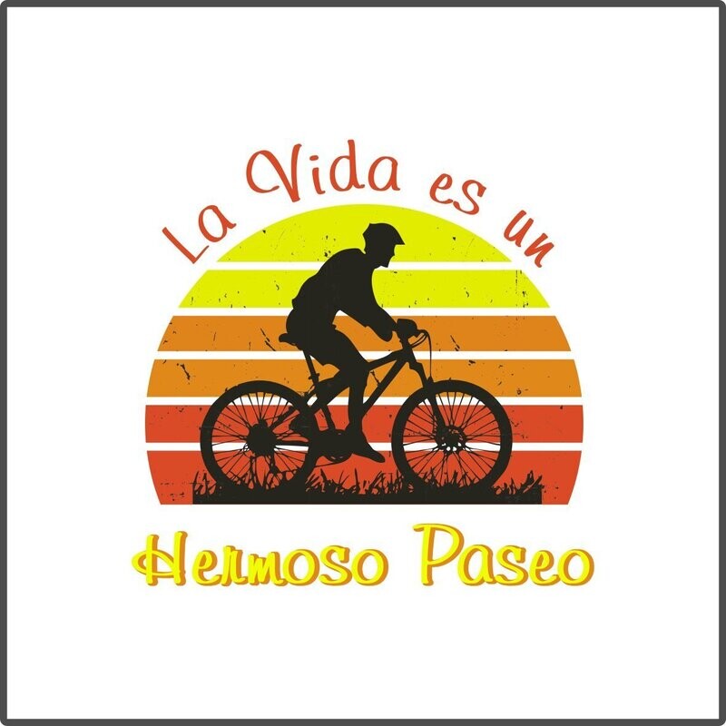 Cojín de raso 'Un hermoso paseo'