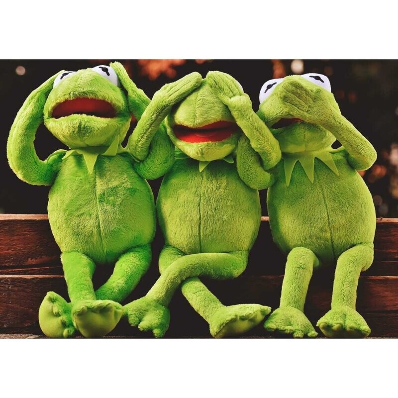 Cojín de felpa 'ranas listas'
