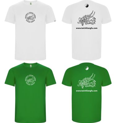 Camisetas personalizadas
