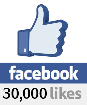 30000 Facebook Likes 30000 Facebook Likes