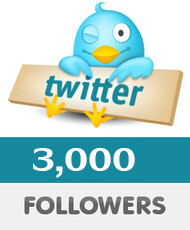 3000 Twitter Followers