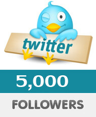 5000 Twitter Followers