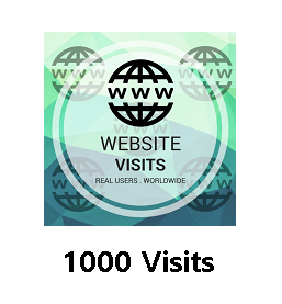 1000 Website Visits