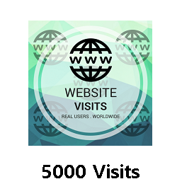 5000 Website Visits