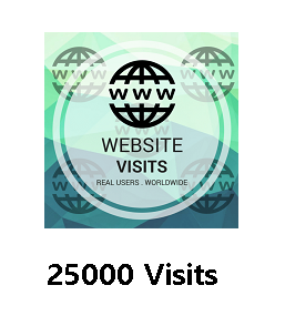 25000 Website Visits