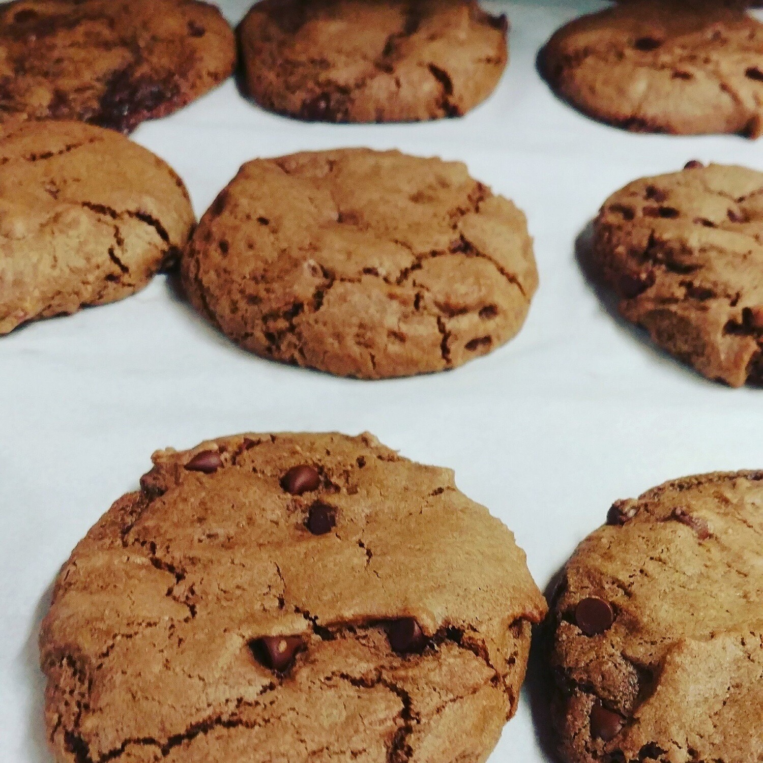 Double Chocolate Chip Cookies (6qty)