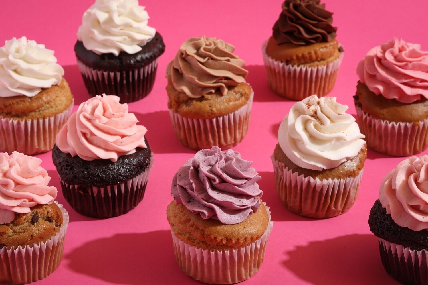 Assorted Cupcakes-Half Dozen (Filled/Non-filled)