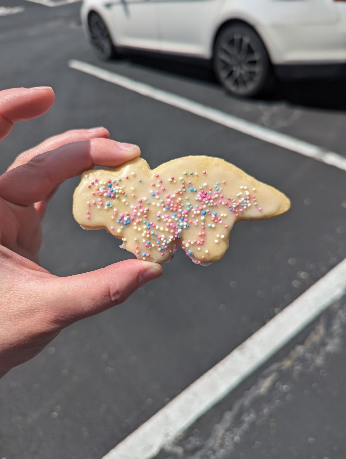 Animal Crackers (1dz) Animal Crackers (1dz)