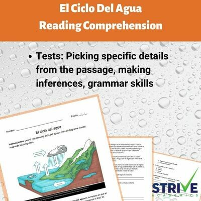 The Water Cycle Reading Comprehension Worksheet - Spanish Version
