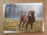 "The Hunter" Greeting Card Set