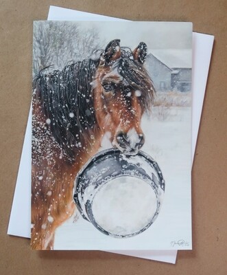 Greeting Cards