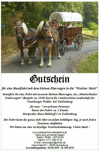 Gutschein, für eine 1-Stunden-Rundfahrt mit dem kleinen Planwagen bis 7 Personen